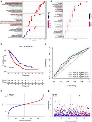 The clinical significance of endoplasmic reticulum stress related genes in non-small cell lung cancer and analysis of single nucleotide polymorphism for CAV1